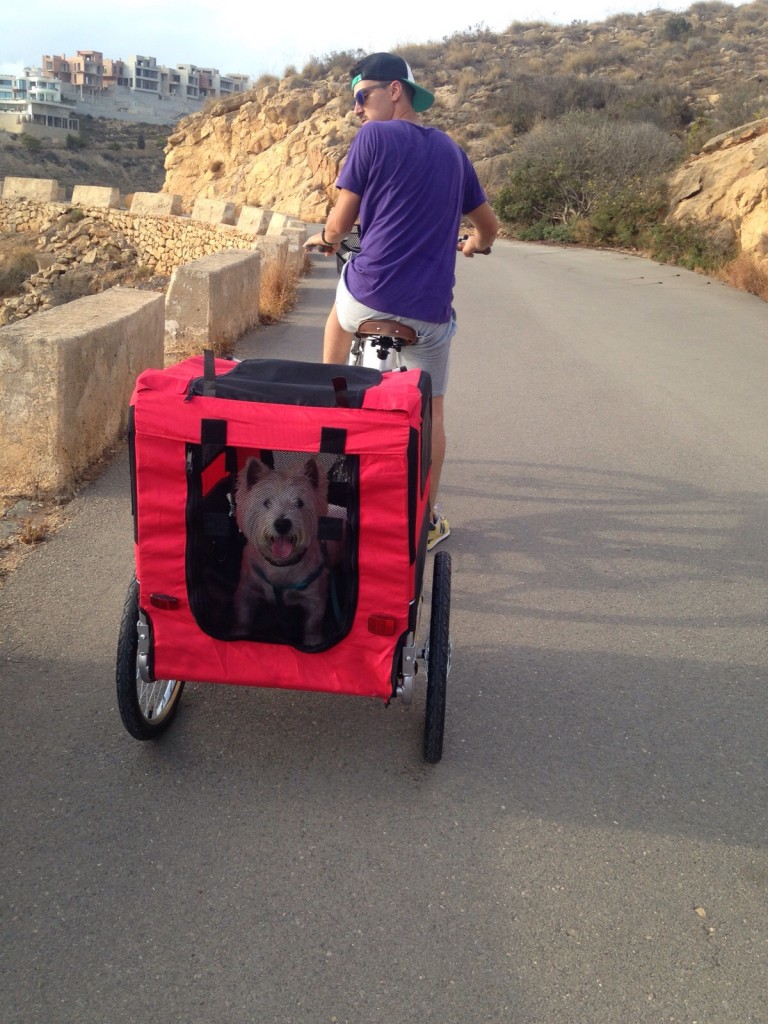Travelling with pets in Benidorm TAO Bike